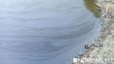 На Сахалине прокуратура проверит стекающий в море нефтяной ручей