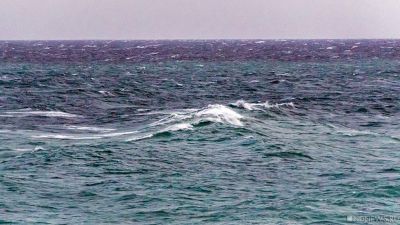 Ученые бьют тревогу: температура поверхности мирового океана достигла рекордного уровня