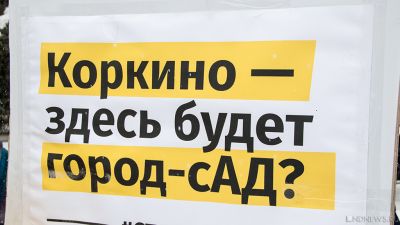 Жители Розы продемонстрировали отношение к происходящему в районе: подведены итоги выборов в Совет депутатов