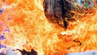В Челябинской области природный пожар перекинулся на жилые дома