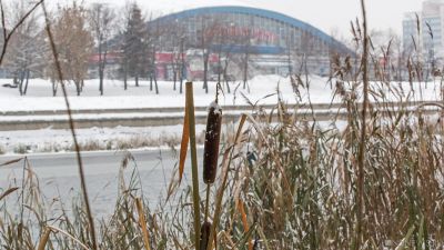 К ночи в Челябинской области ухудшится погода
