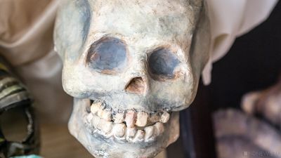 В Петербурге во время ремонта трубы нашли человеческий череп