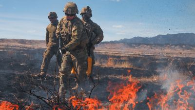 Чужими руками жар загребать. США хотят заменить своих военных в Сирии на арабов