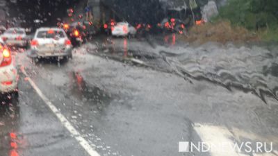 Ураган в Москве: поваленные деревья и сорванные крыши, есть погибшие