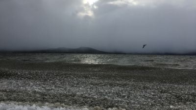 На Южном Урале почернело легендарное озеро Увильды