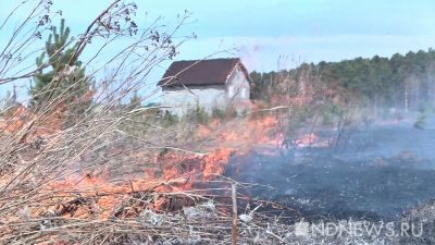 Лесные пожары угрожают 186 населенным пунктам Среднего Урала
