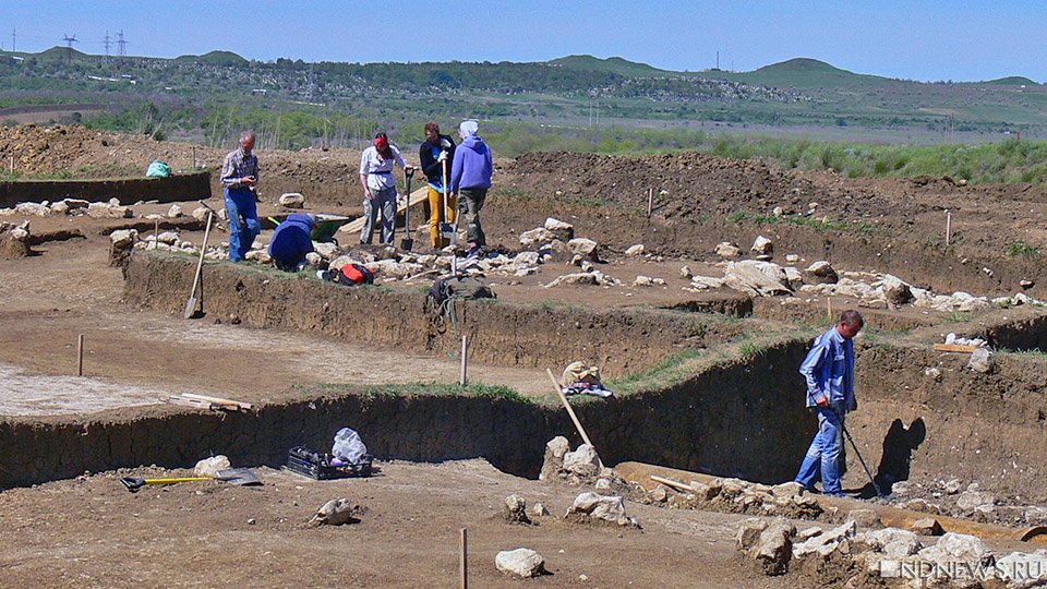 Пользовались не люди: археологи обнаружили древнейшие инструменты для разделки крупных животных