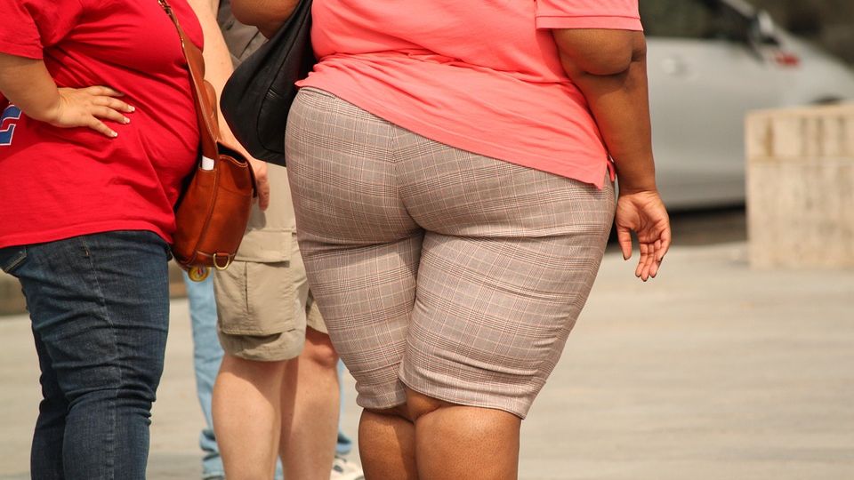 Ученые нашли безопасный способ лечить ожирение