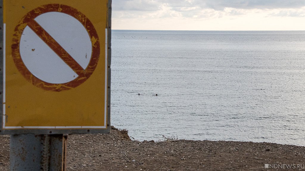 Уральцев просят не купаться в водоемах с утками, гусями и чайками