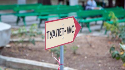 В Севастополе уничтожили около 200 деревьев ради туалета