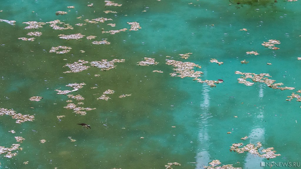 Челябинцев шокировала зеленая вода, льющаяся в озеро Смолино