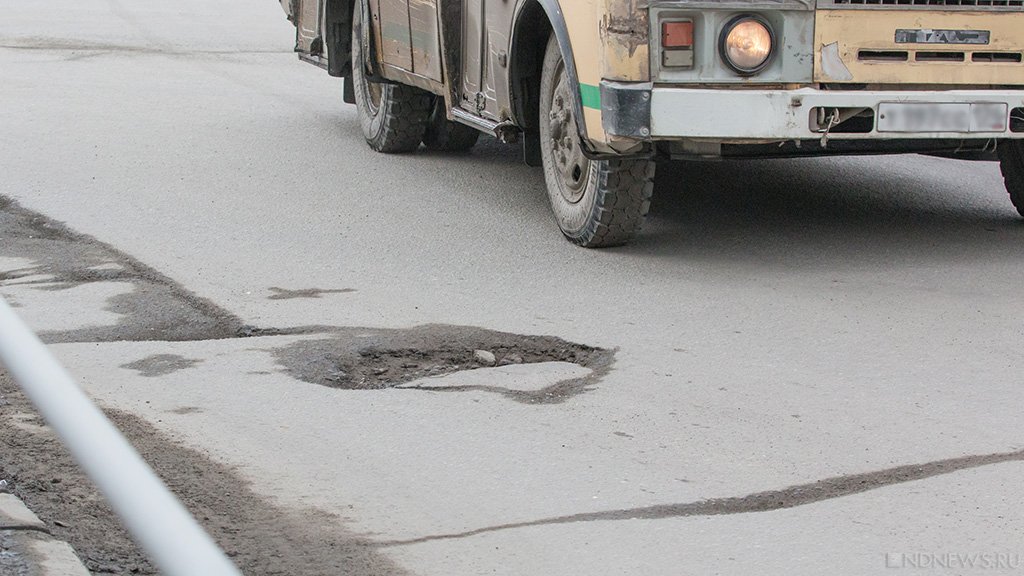 В Кургане перевозчики заявили о вымирании общественного транспорта