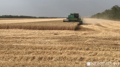 Один из крупнейших экспортеров прекратит вывоз зерна из России