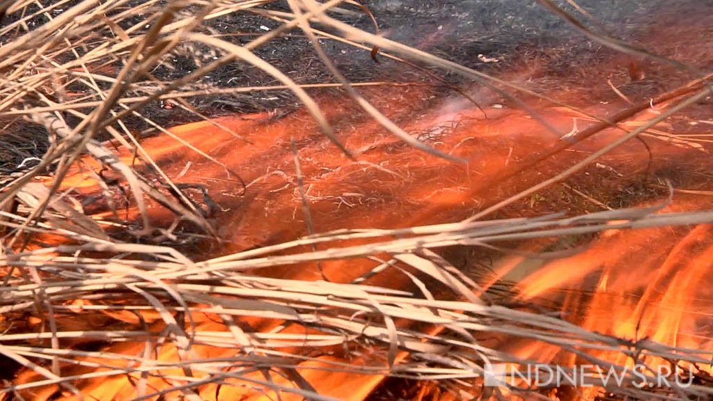 За летние месяцы на Среднем Урале леса горели более 400 раз