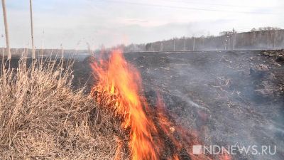 В Надымском районе действуют 4 природных пожара