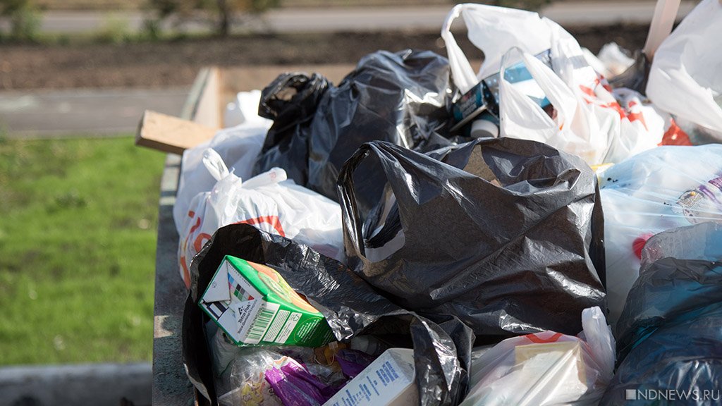 На мэрию и МУП Челябинска из-за гор мусора завели дело о халатности