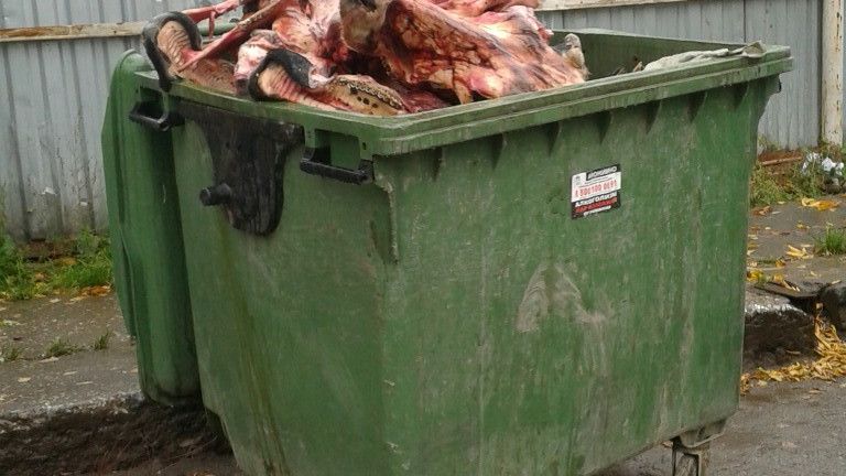 На Сортировке неизвестные выбросили в мусорный контейнер коровьи головы