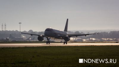 В аэропорту Жуковский столкнулись два пассажирских лайнера