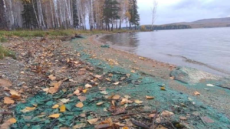 Чуда не произошло: Черноисточинский пруд снова покрылся сине-зелеными водорослями