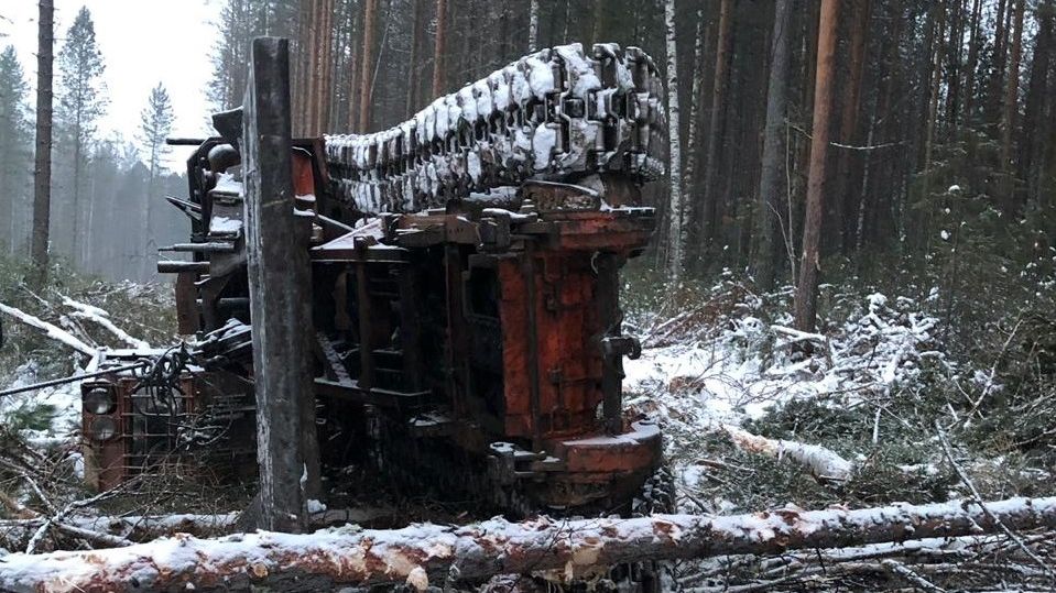 В Краснотурьинске на лесозаготовке погиб охранник колонии – СК ведет проверку