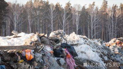 Прокуратура обязала минприроды убрать свалку из леса под Нижними Сергами