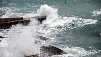 Во Владивостоке сильным штормом выбросило на берег северокорейское судно