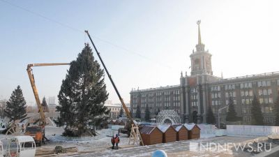 В Екатеринбурге установили главную новогоднюю елку (ФОТО)