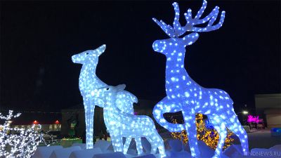 14 декабря ожидаются следующие события – Челябинск