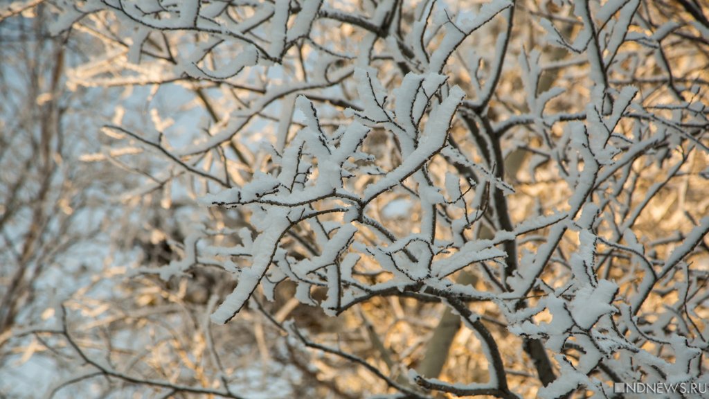 13 января на Южном Урале ожидаются положительные температуры