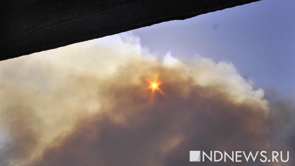 Власти Курганской области второй раз за день опровергли свои слова: причиной смога названы пожары в Югре