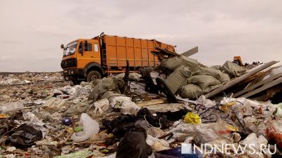С мусорного полигона в Кургане взыскали долг за вред природе