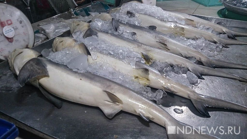 Россия нарастила экспорт рыбы в пять раз в Индонезию, вчетверо – в КНДР