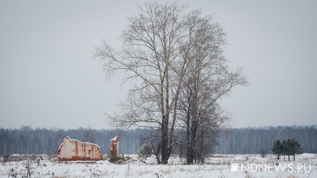 В Свердловской области ликвидируют еще один заброшенный поселок
