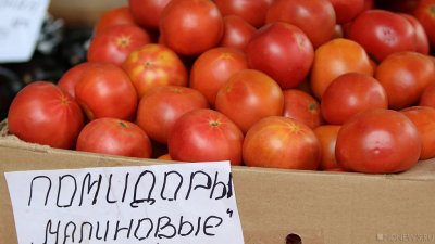 В Челябинск завезли 20 тонн томатов, зараженных опасным вредителем