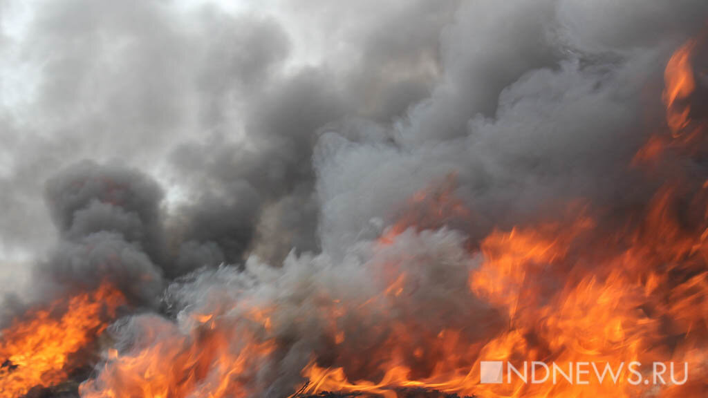 В Курганской области из-за природных пожаров эвакуируют деревни и СНТ (ВИДЕО)