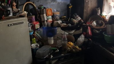 Подвешенные плиты, мусорные свалки и мертвые птицы: газовики показали, что творится в квартирах горожан-нарушителей (ФОТО)