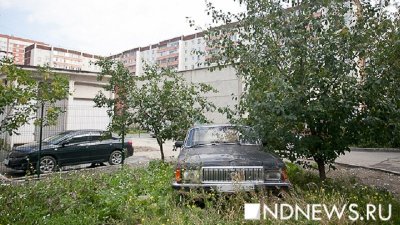 За парковку на газонах автомобилистов ждет штраф до 3 тысяч рублей