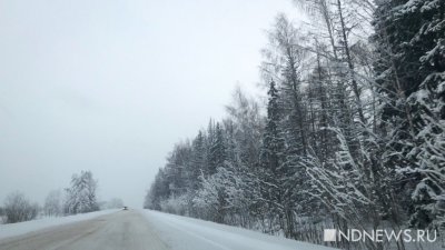 МЧС объявило штормовое предупреждение в Свердловской области