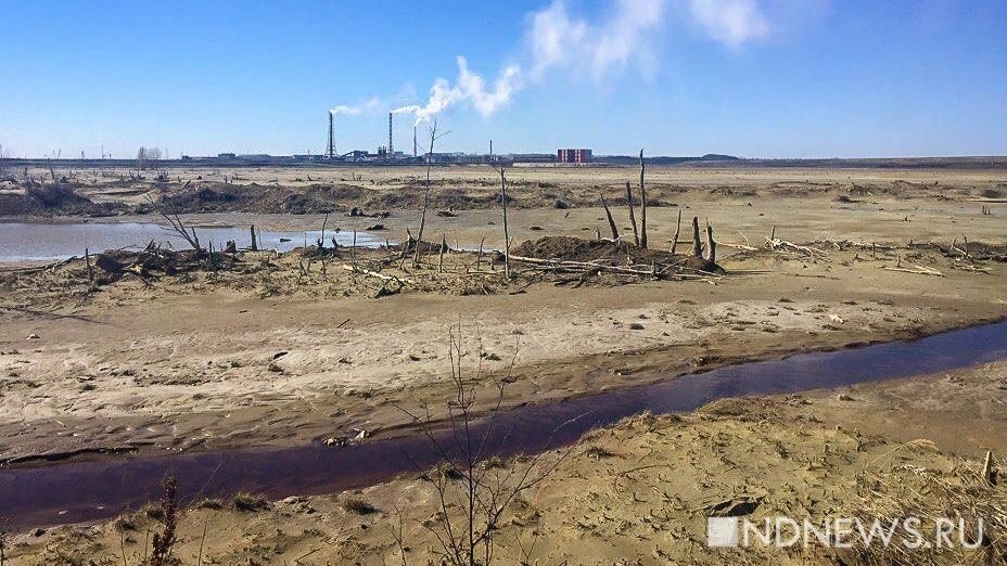 Добывающий актив Роснефти загадил земли трех лесничеств в Югре