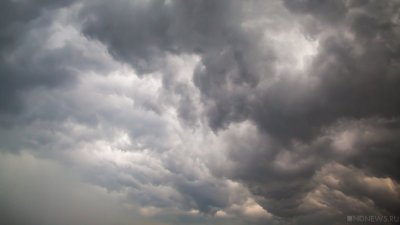 В московском регионе объявлено штормовое предупреждение