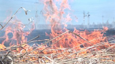 В Свердловской области сгорело 749 гектаров леса