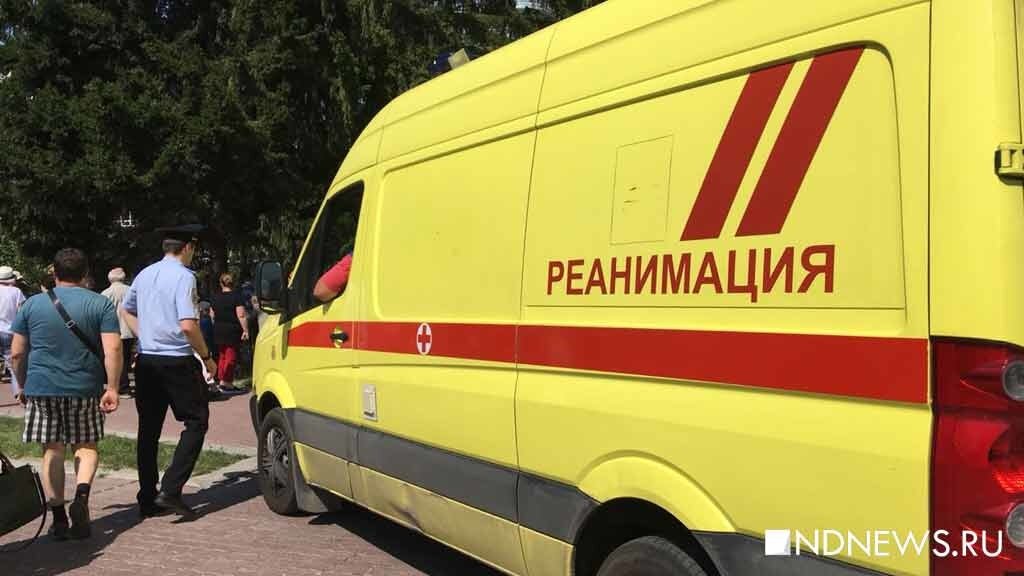 В Петербурге ребенок попал в реанимацию с ожогами борщевиком