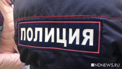 Руководителю штаба Навального в Екатеринбурге полицейский вручил предостережение