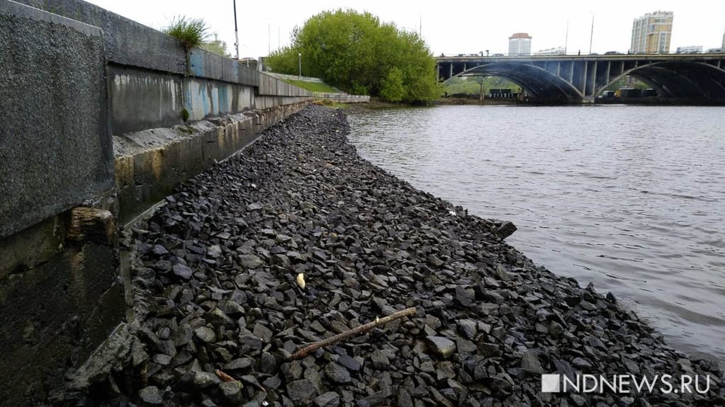 Водоемы осушили. ОСУШИЛИ водоём в Санкт-Петербурге. Осушают пруд Березники. ОСУШИЛИ пруд Нижний Калининград. ОСУШИЛИ пруд у 6 больницы.