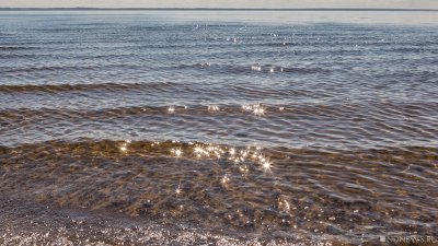 Качество воды в Черном море существенно ухудшилось