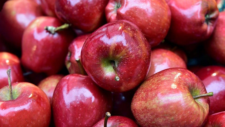 В Тюмени на свалке закопали две тонны свежих яблок