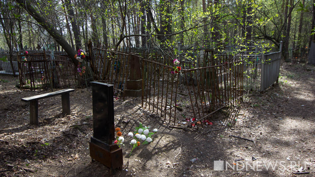 Полиция нашла малолетних вандалов, разгромивших сельское кладбище
