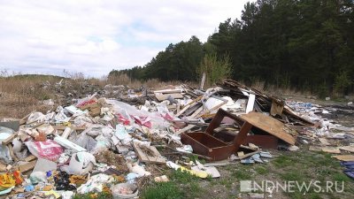 Счетная палата рассказала об экологических тревогах россиян