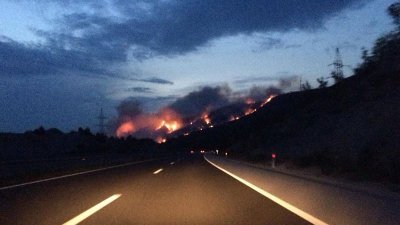 В Хорватии за неправильную парковку оштрафован пожарный, тушивший лес