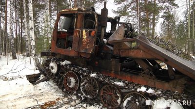 Власти получили право конфисковывать технику «черных» лесорубов